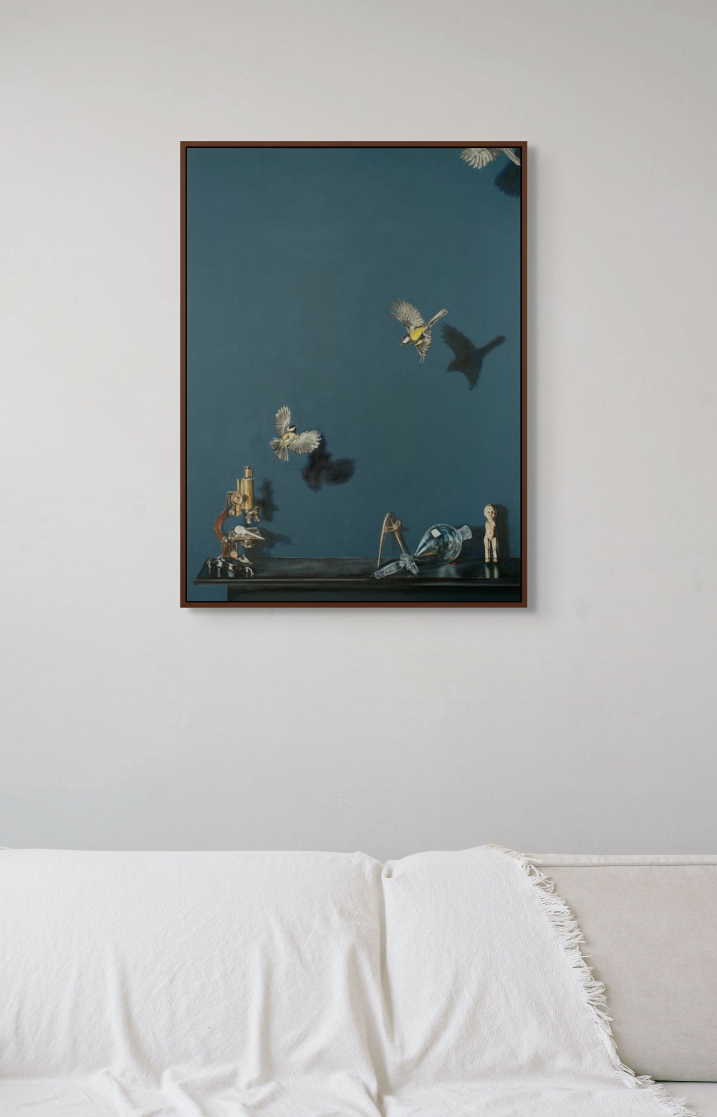 Little Room of Curiosities