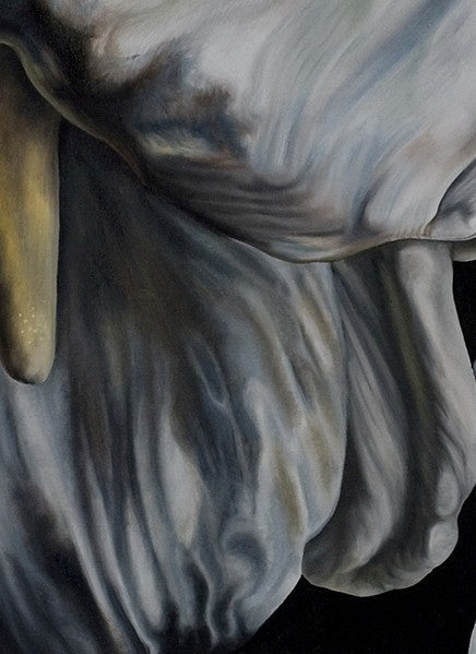 Calla Lily