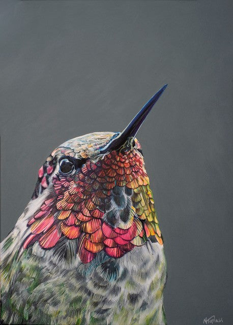 Painted lady