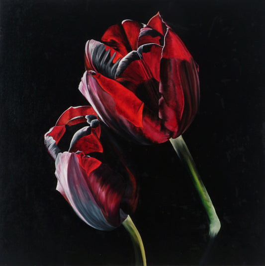Two Red Tulips