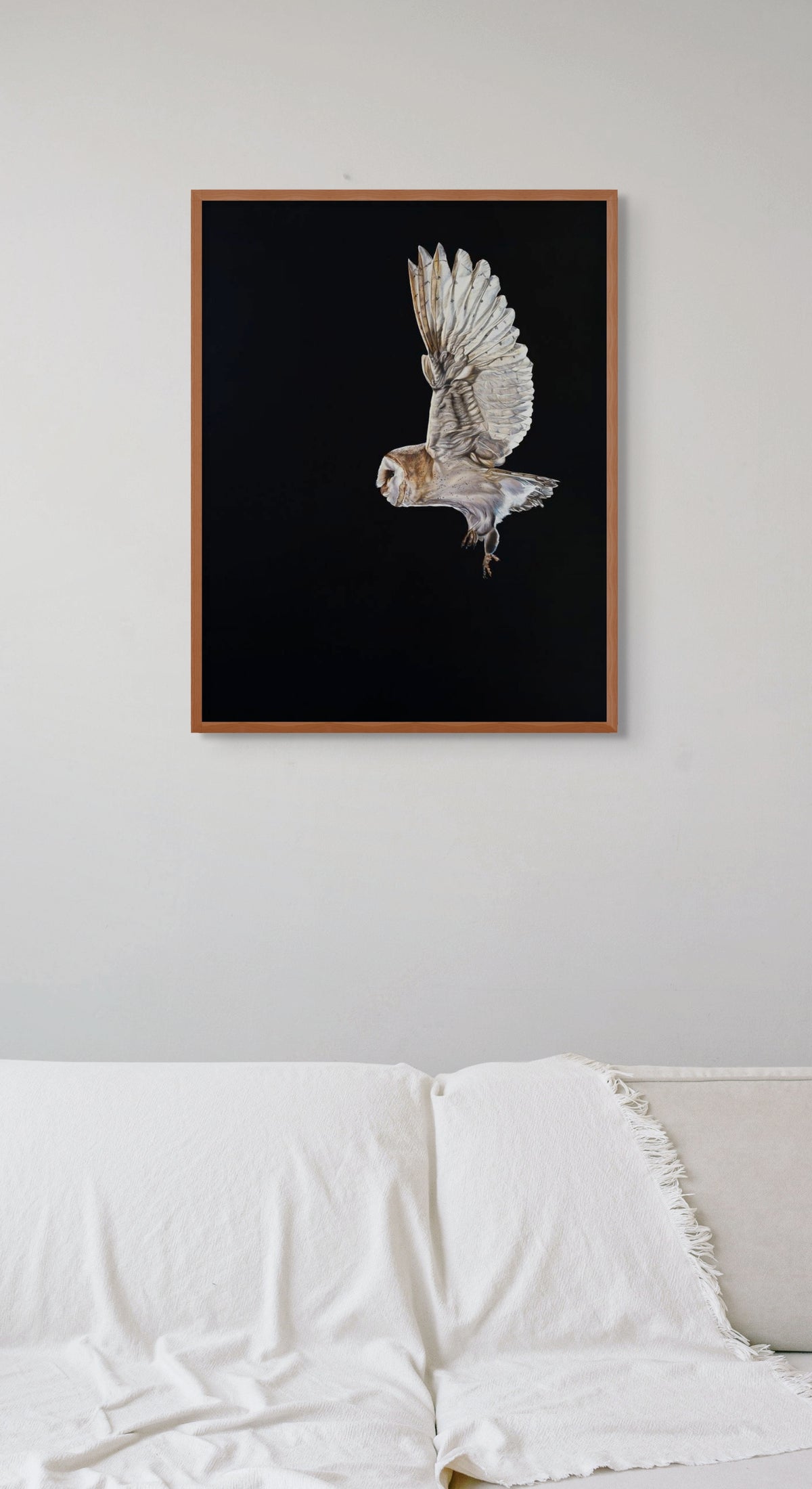 Barn Owl
